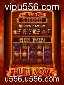 Explorando o Universo de FruitNova: Uma Nova Era de Entretenimento